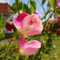 Informasjon