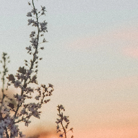 Trond Sverre Sverreng