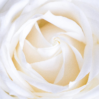 Berit Hanna Berger Gunnestad