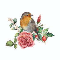 Randi Sofie Solbrækken